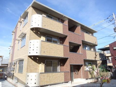 Ｃｏｒａｌ　Ｒｅｅｆ　Ｔ