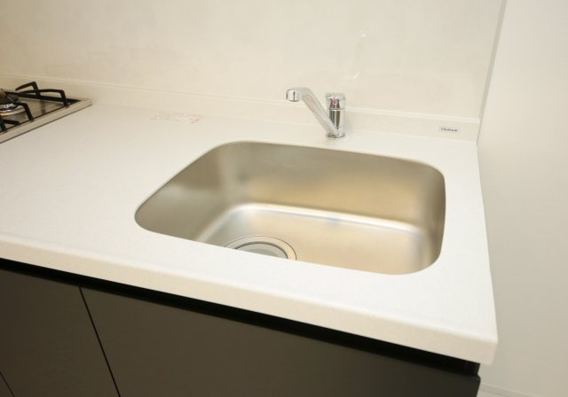 Warren shibataⅠのその他