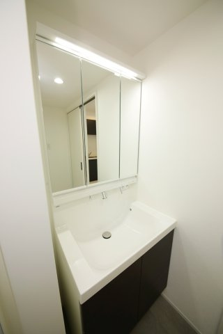 Warren shibataⅠの洗面所