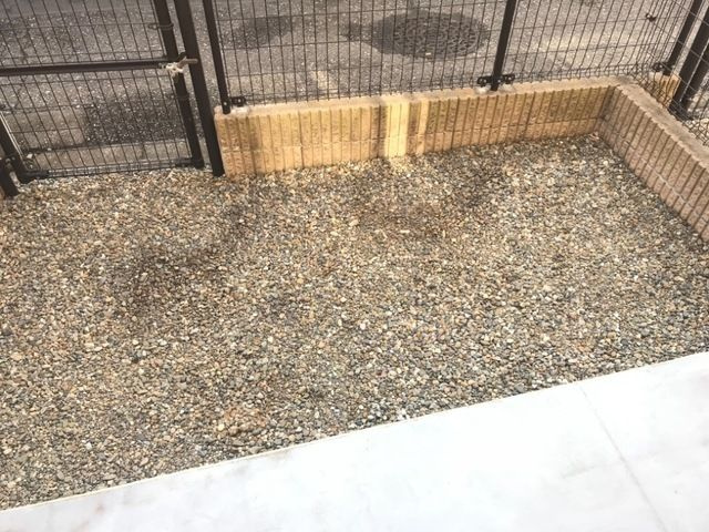 アウローラの庭
