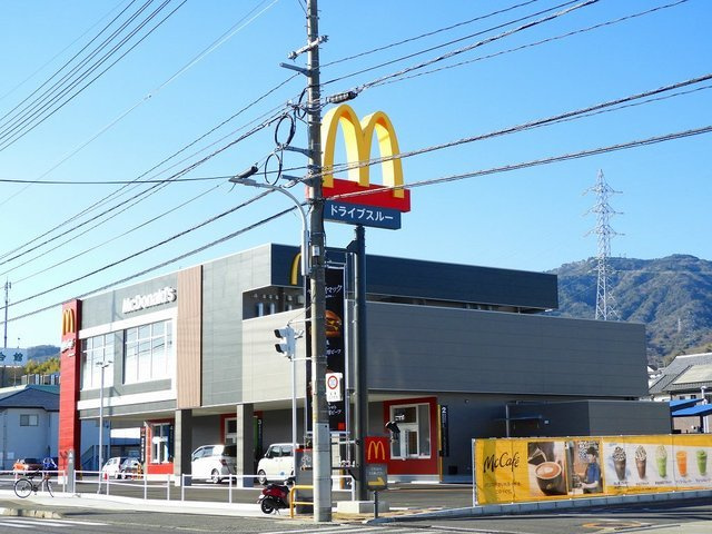 メゾン・エスペランサの周辺|マクドナルド宮内店まで1000m