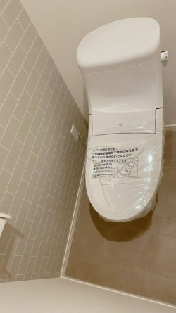 アザーレ・ターコイズ府中本町B棟のトイレ