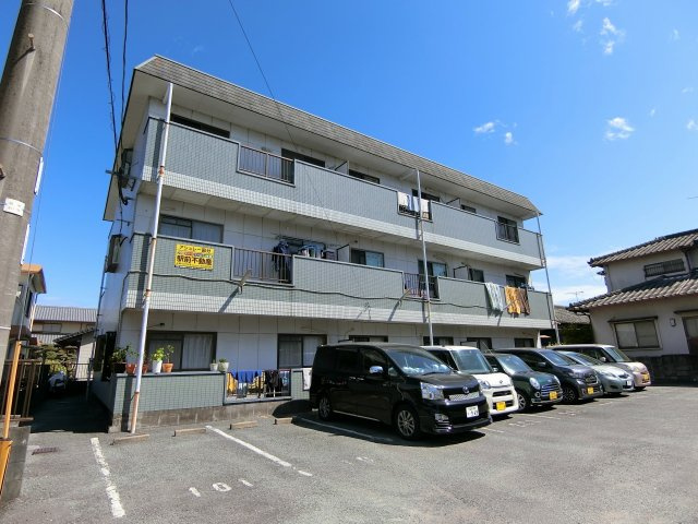 アシュレー国分