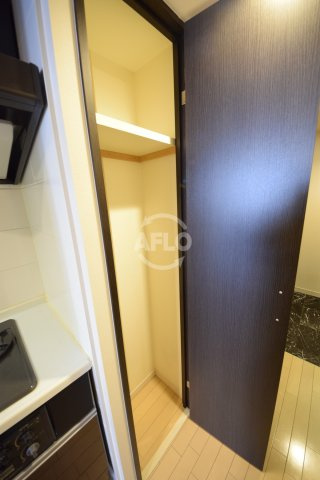 カスタリア堺筋本町の収納|カスタリア堺筋本町　クローゼット