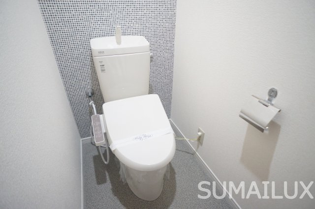 熊本市南区砂原町の賃貸マンションのトイレ