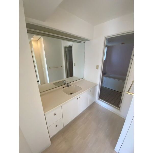 インターフェルティ真田山の洗面所