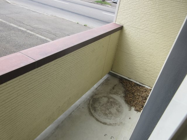 バップバーレンK館のバルコニー
