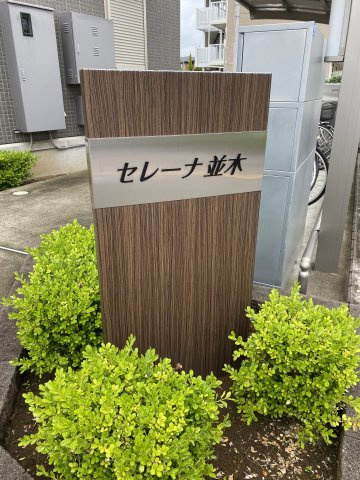 セレーナ並木の庭