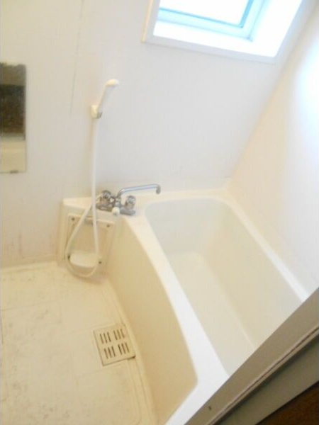 シェーンレーベン 壱番館の浴室