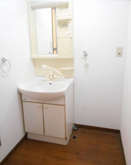 シェーンレーベン 壱番館の洗面所