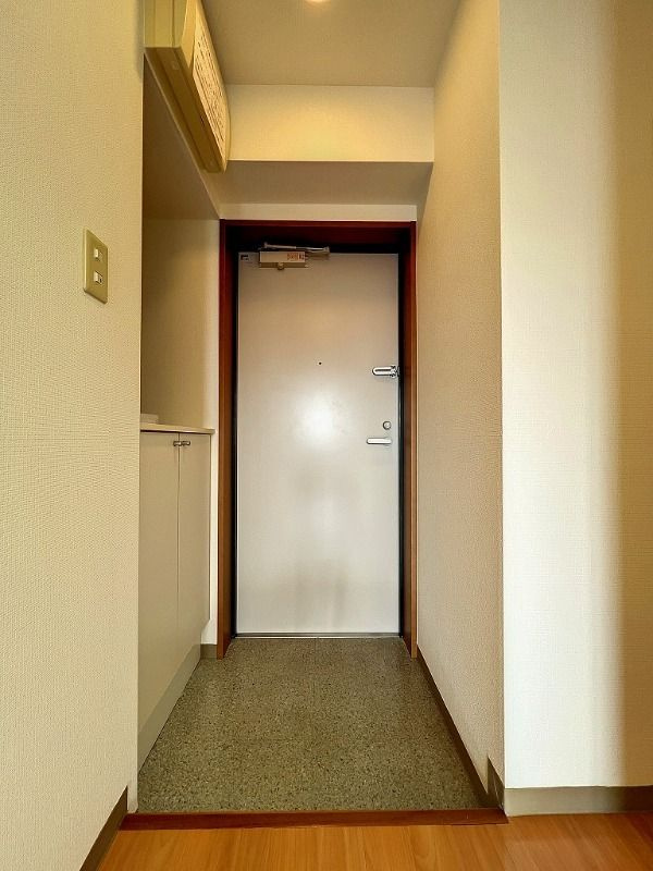 浦安市堀江３丁目の賃貸マンションの玄関