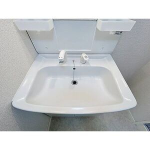 メゾン志水の洗面所