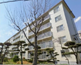 神陵台西住宅　62号棟　収益の画像