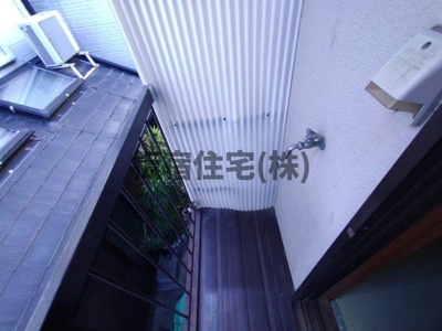  | 山本文化