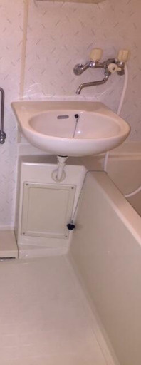 ウエスト　アシュールの洗面所