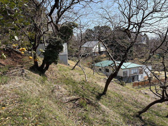 【外観】 | 伊豆急伊豆高原分譲地　売地