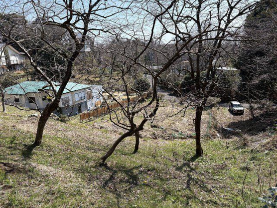 【外観】 | 伊豆急伊豆高原分譲地　売地