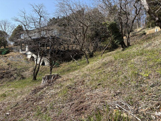 【外観】 | 伊豆急伊豆高原分譲地　売地