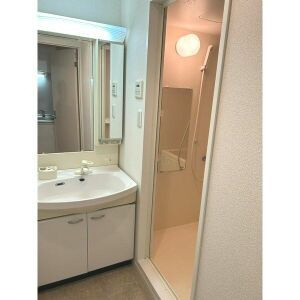 グランティアラ駒込の独立洗面台