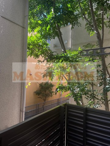 L Courtの展望