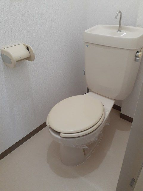 グリーンヒル武路のトイレ