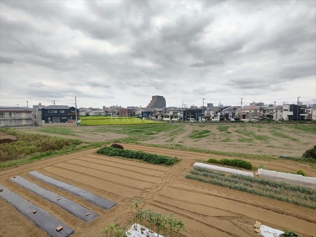 【展望】の画像
