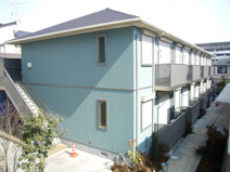 Ohana Hare Cの画像