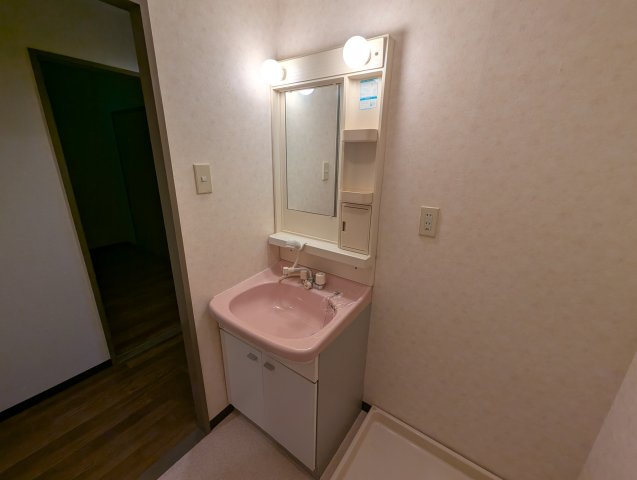 シュロス五月山Ⅲの独立洗面台