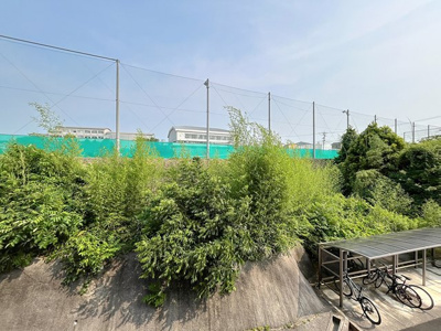 【展望】 | ウィステリア