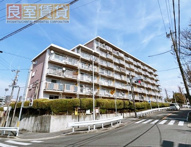 平池住宅の画像