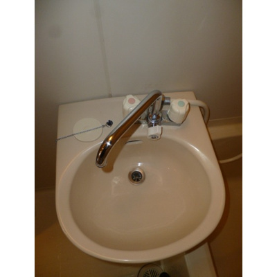 【洗面所】 | トランタンビュー東駒形 | 浴室洗面ボール！