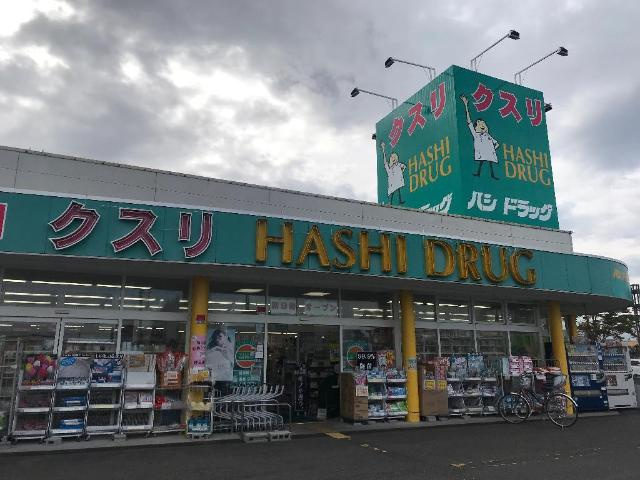 ガーデンヒルズの周辺|ハシドラッグ西店まで407ｍ
