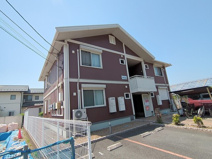 ビオラコートの画像