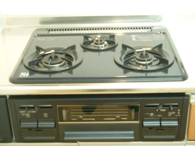 ヴァン・ベール居島のキッチン|システムキッチン