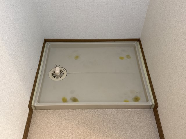 サン・フロールのその他