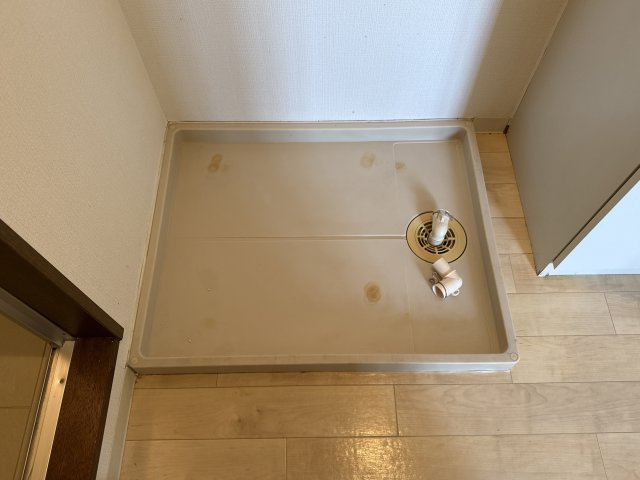ミレムのその他