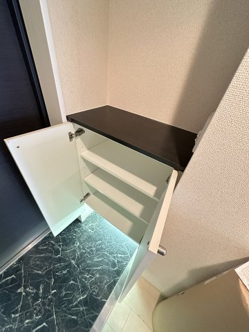 シティヒルズ安堂寺のその他