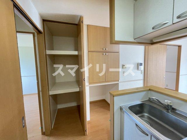 グリーンビレッジⅡの収納