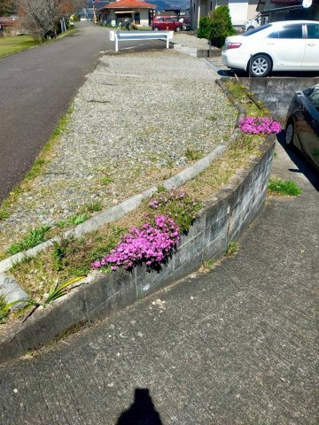 【成約済】人吉市鶴田町　中古戸建　古民家の前面道路含む現地写真