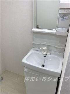 広島市安佐北区口田南１丁目のアパートの洗面所