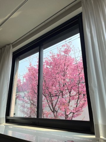 パークホームズ本郷　ザ　レジデンスの展望