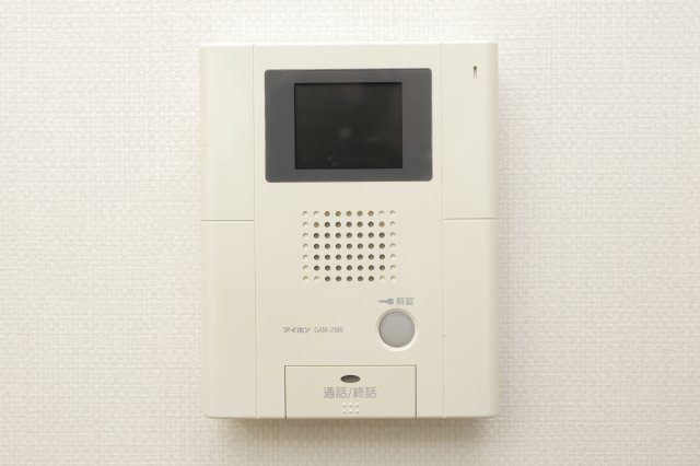 フェイム イッサのセキュリティ