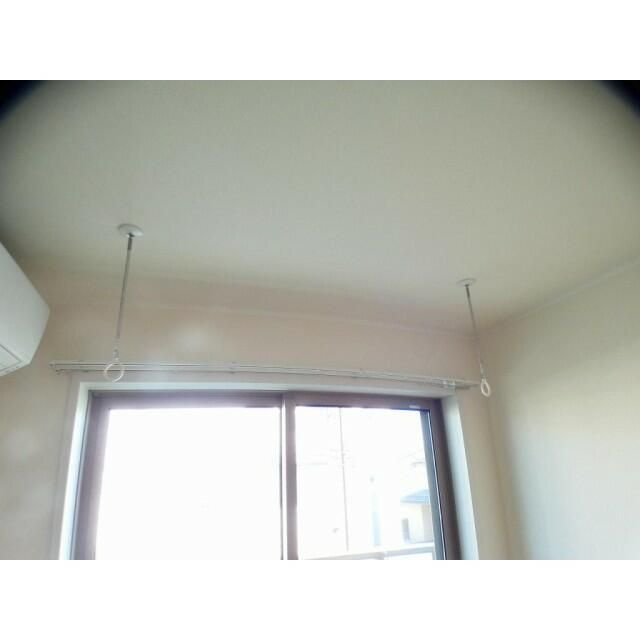 フォレスト　ベベのその他