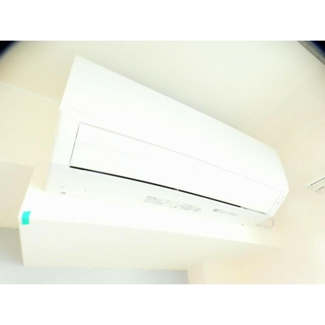 フォレスト　ベベのその他