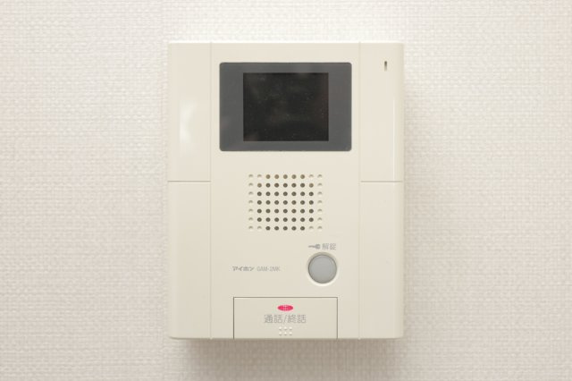 フェイム イッサのセキュリティ