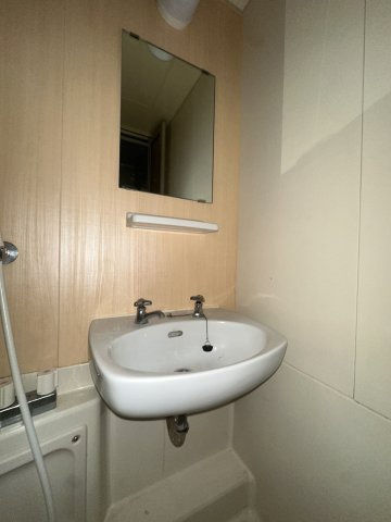 Lumiere住吉Northの洗面所