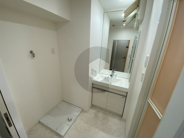 東大阪市高井田元町２丁目の賃貸マンションの洗面所