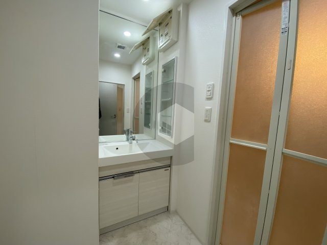 東大阪市高井田元町２丁目の賃貸マンションの独立洗面台