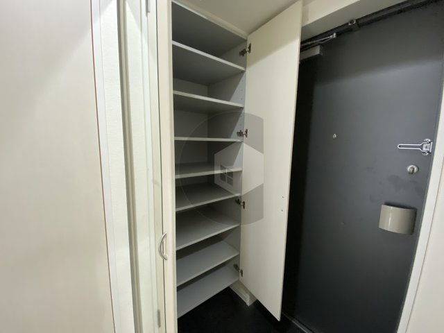 東大阪市高井田元町２丁目の賃貸マンションの収納