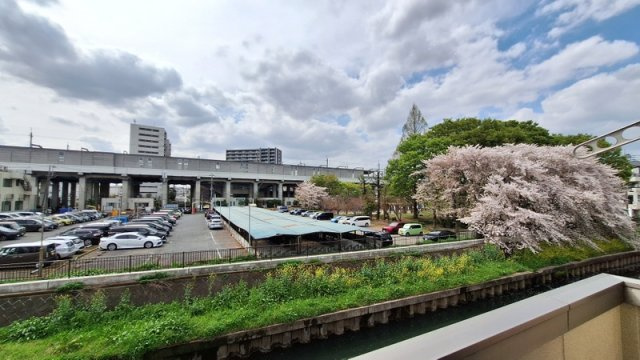 ｆ＋ｓａｋｕｒａの展望